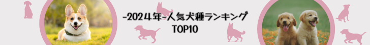 -2024年-人気犬種ランキング TOP10