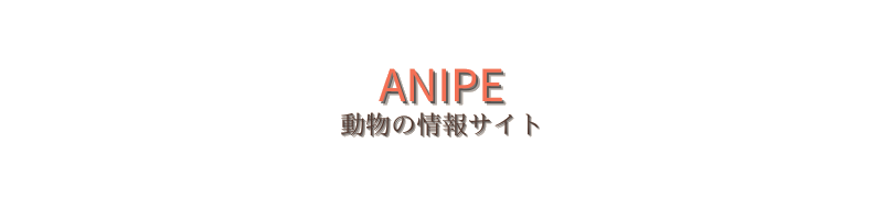 ANIPE-アニぺ