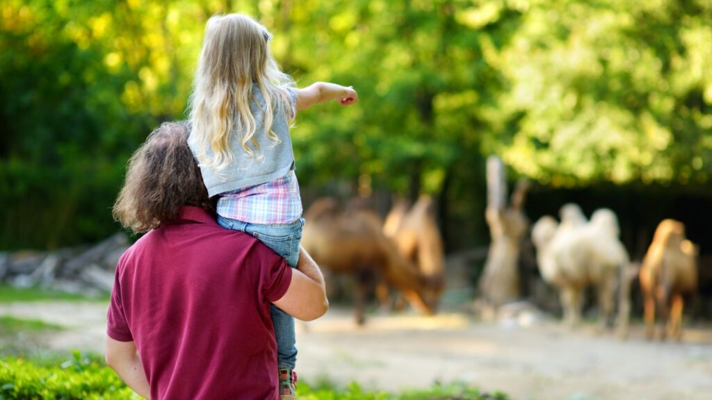 父に担がれて動物園を楽しむ女の子