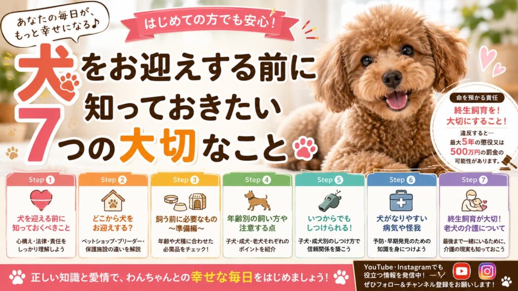 犬をお迎えする前に知っておきたい7ステップ