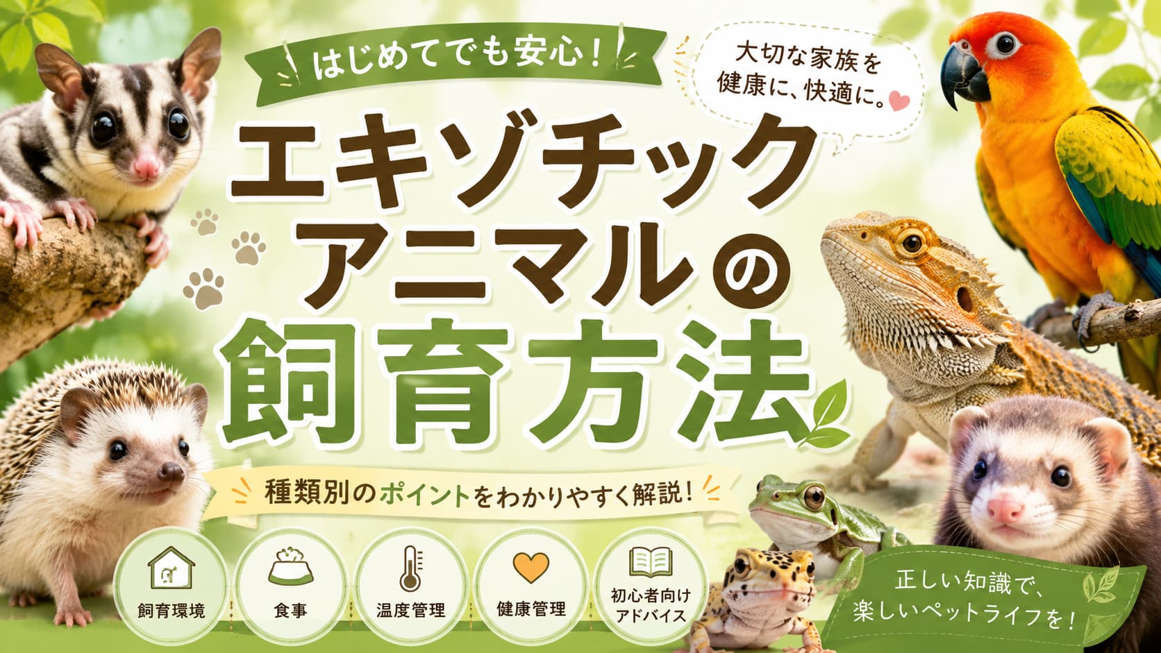 エキゾチックアニマルの飼育方法