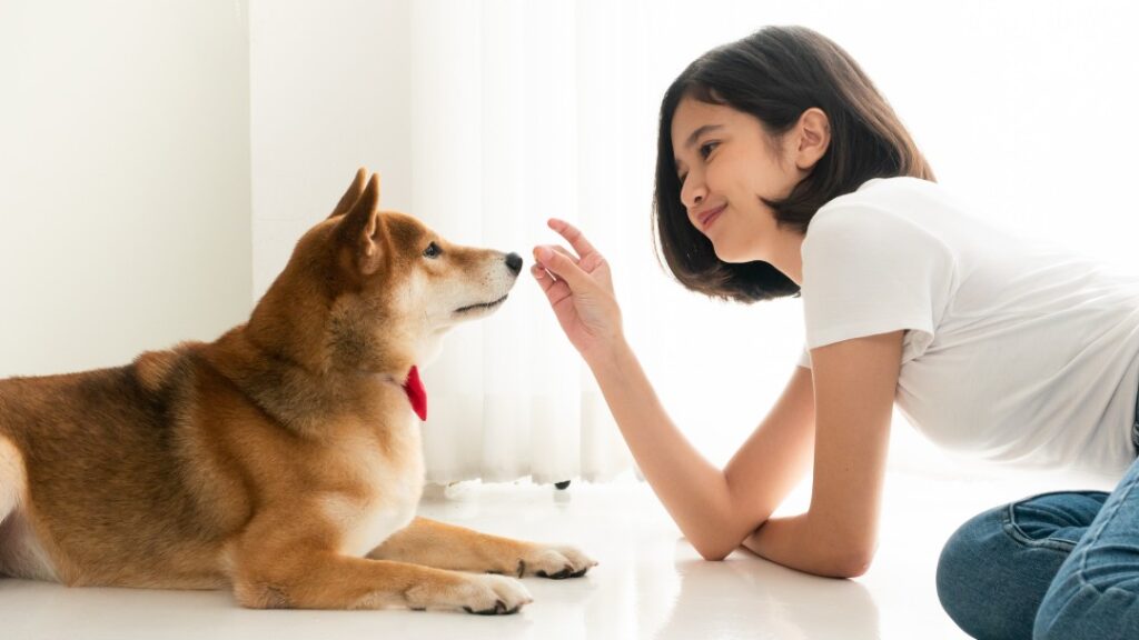 柴犬と女性