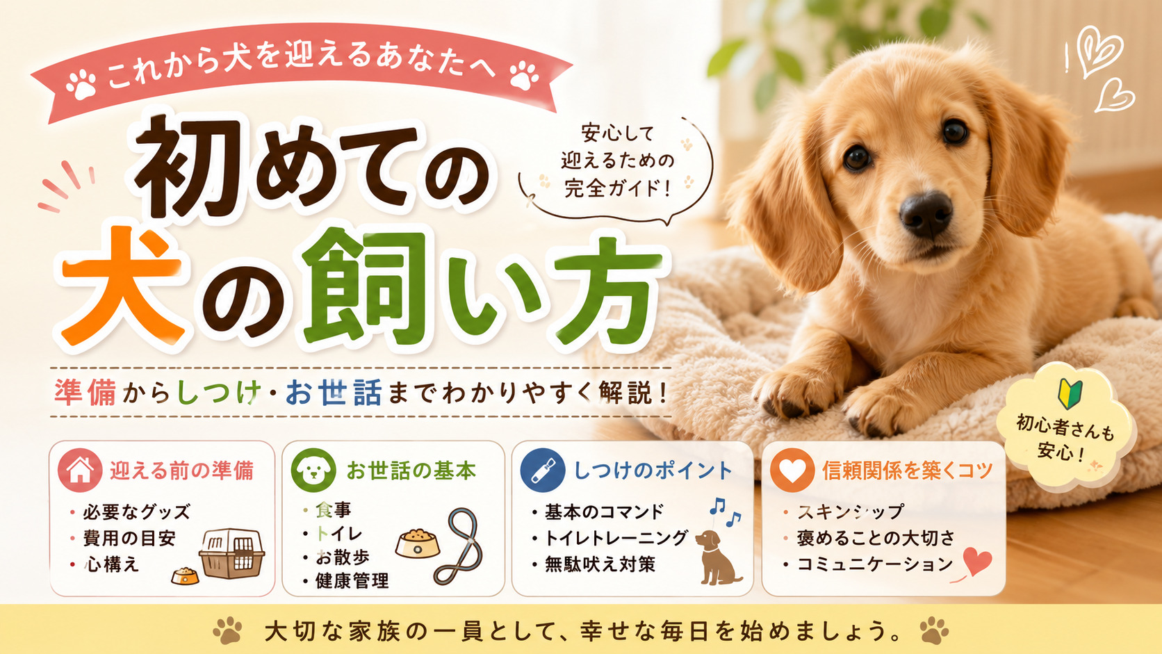 犬の飼い方