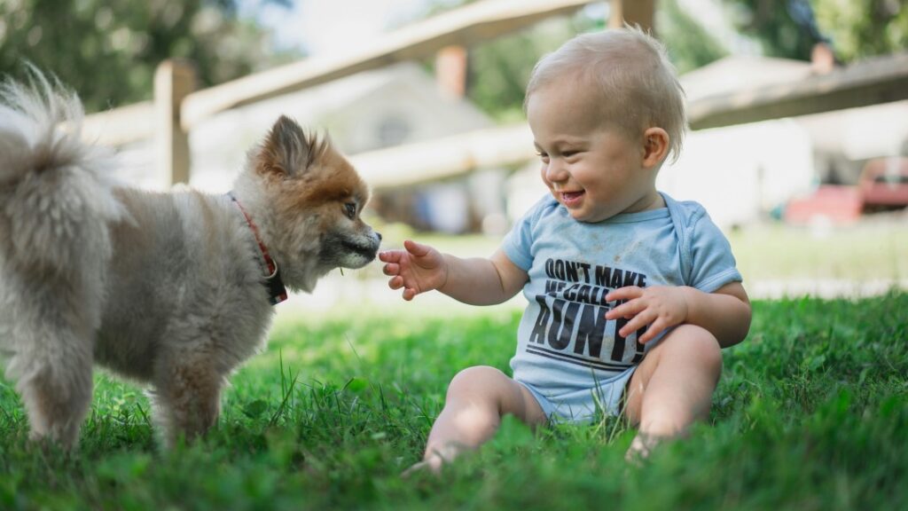 赤ちゃんと子犬