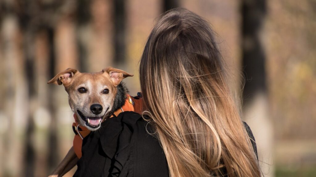 女性に抱かれる犬