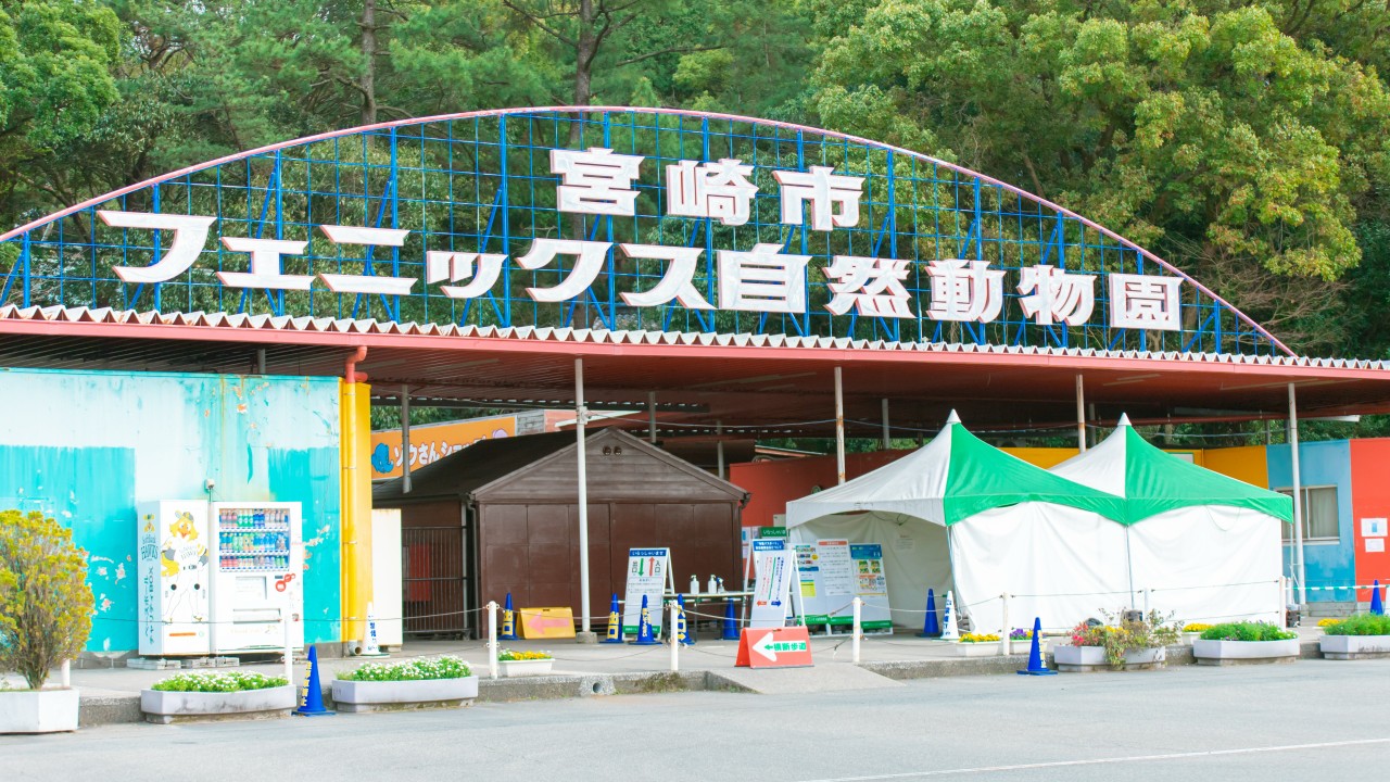 宮崎市フェニックス自然動物園
