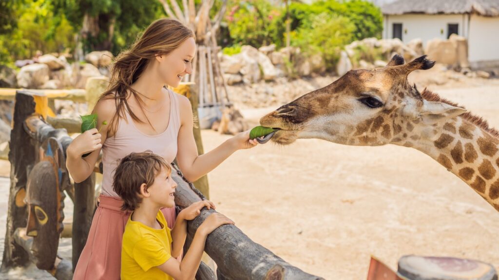 動物園でキリンを眺めたり餌をあげたりする、幸せな母と息子。暖かい夏の日にサファリパークで動物たちと楽しい時間を過ごす、幸せな家族。