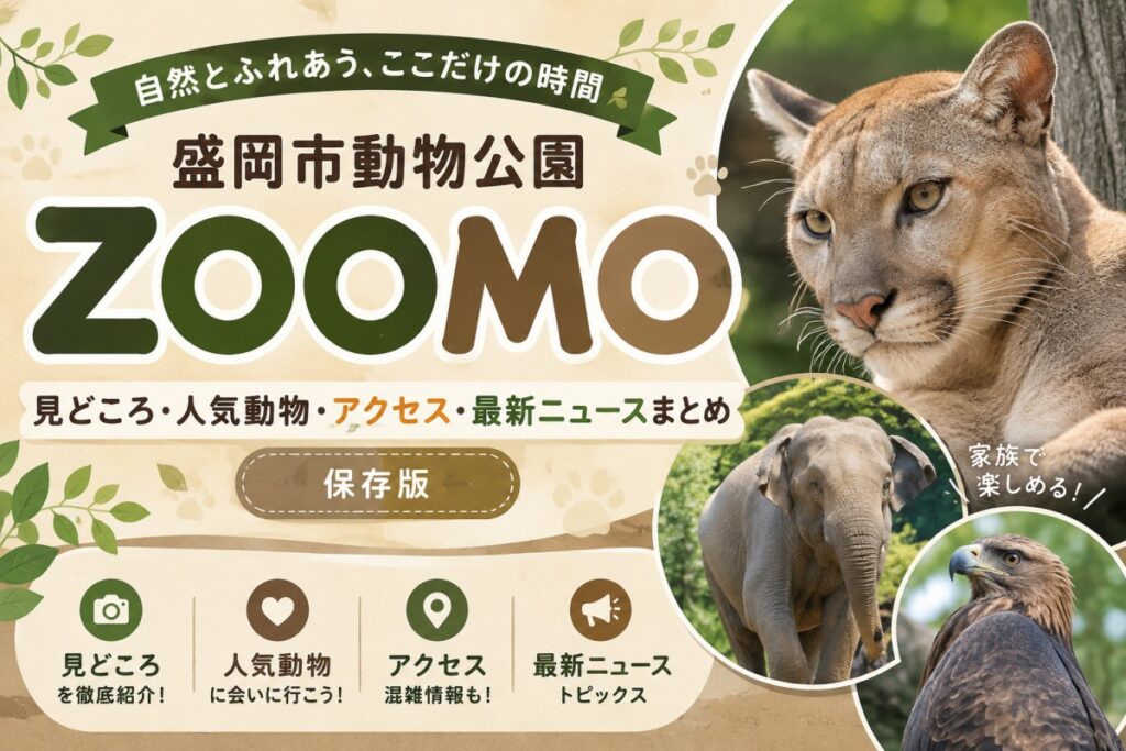 zoomo