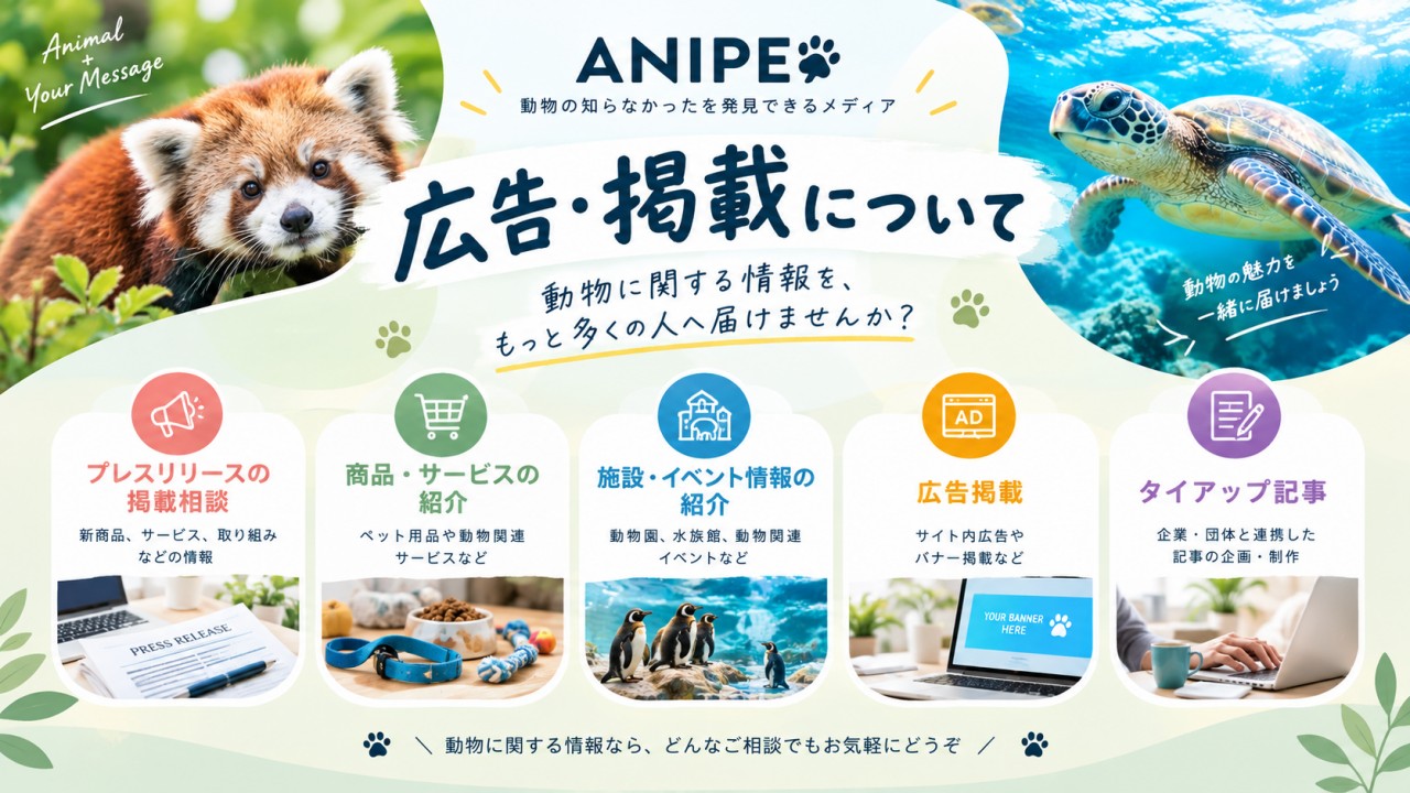 動物メディア広告・掲載案内